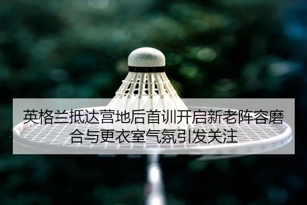 img_1781106552687_257_1_956.jpg